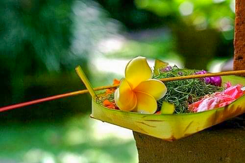 A prayer offering in Bali